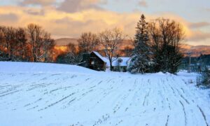 Due diligence survey rural vermont land - ALTA SURVEY Vermont Rural Vermont farmland evaluated as part of a due diligence survey before purchase